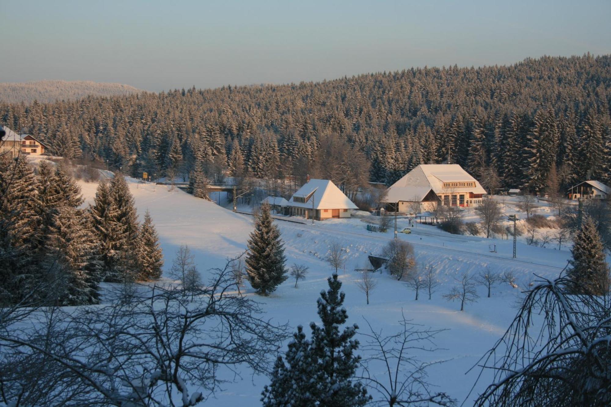 Hotel Waldeck Mit Restaurant "Florian'S" Feldberg  Luaran gambar