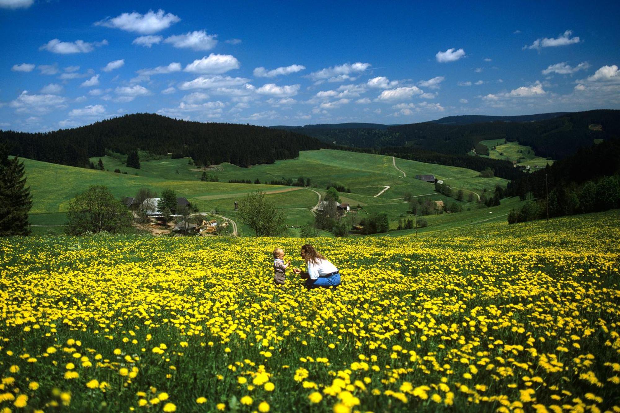 Hotel Waldeck Mit Restaurant "Florian'S" Feldberg  Luaran gambar