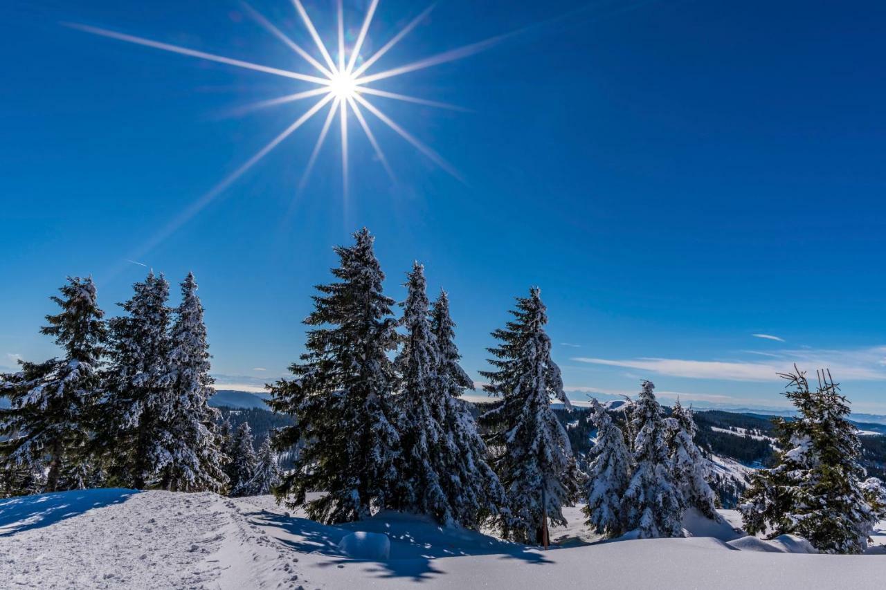 Hotel Waldeck Mit Restaurant "Florian'S" Feldberg  Luaran gambar